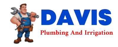 Trusted plumber in CURRIE